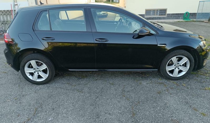 
								Volkswagen Golf Golf 5p 1.4 tgi Highline full									